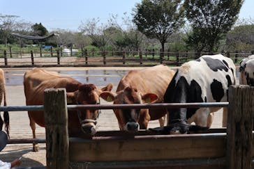 成田ゆめ牧場に投稿された画像（2021/8/29）