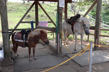 成田ゆめ牧場に投稿された画像（2021/8/29）