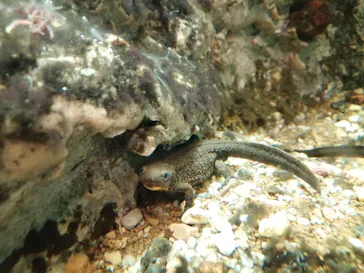 天王寺動物園に投稿された画像（2021/8/29）