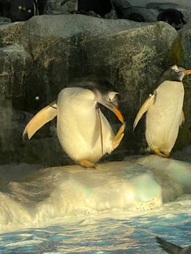 名古屋港水族館に投稿された画像（2021/8/29）