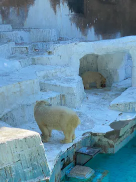 天王寺動物園に投稿された画像（2021/8/29）