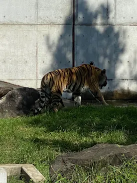 天王寺動物園に投稿された画像（2021/8/29）