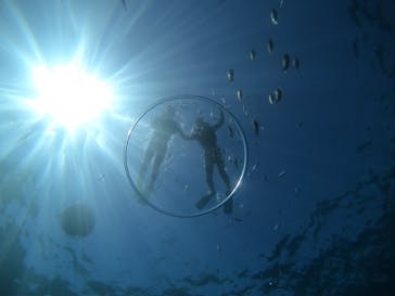 武藤潜水に投稿された画像（2021/8/29）