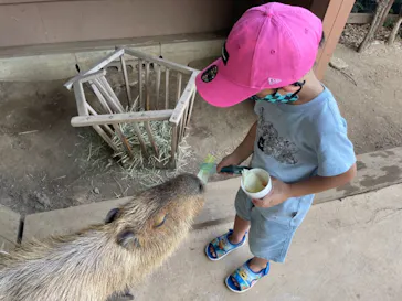 横浜・八景島シーパラダイスに投稿された画像（2021/8/29）