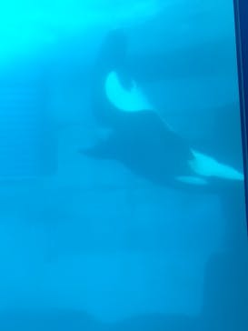 名古屋港水族館に投稿された画像（2021/8/29）