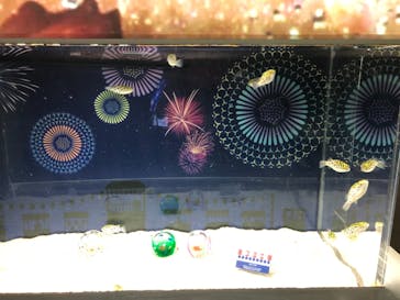 マクセル アクアパーク品川に投稿された画像（2021/8/29）