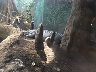 天王寺動物園に投稿された画像（2021/8/29）