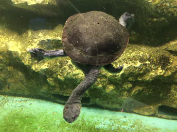 天王寺動物園に投稿された画像（2021/8/29）