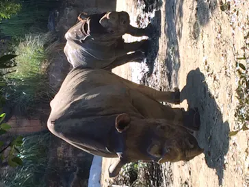 天王寺動物園に投稿された画像（2021/8/29）