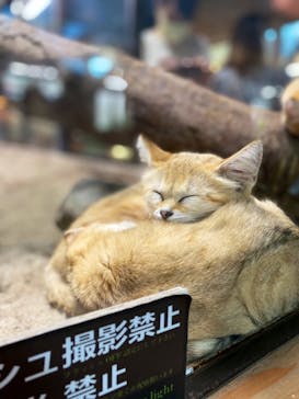 那須どうぶつ王国に投稿された画像（2021/8/29）