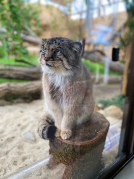 那須どうぶつ王国に投稿された画像（2021/8/29）