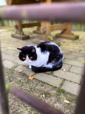 那須どうぶつ王国に投稿された画像（2021/8/29）