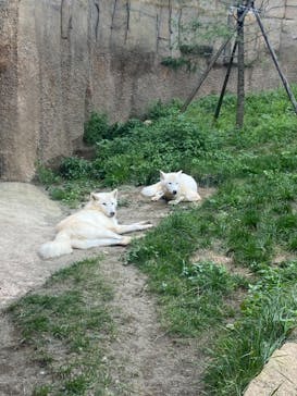 那須どうぶつ王国に投稿された画像（2021/8/29）