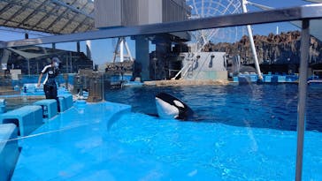 名古屋港水族館に投稿された画像（2021/8/29）