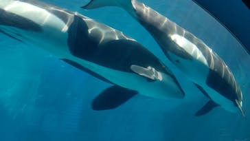 名古屋港水族館に投稿された画像（2021/8/29）