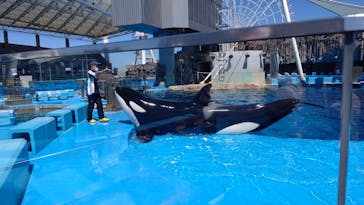 名古屋港水族館に投稿された画像（2021/8/29）