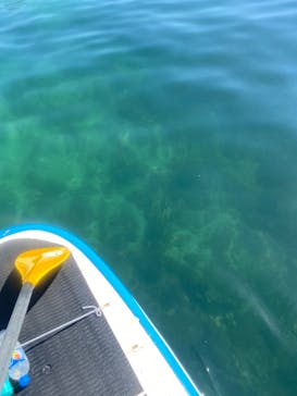 瀬戸内パドリングに投稿された画像（2021/8/29）