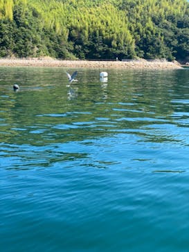 瀬戸内パドリングに投稿された画像（2021/8/29）