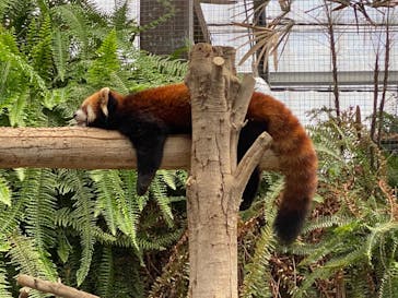 神戸どうぶつ王国に投稿された画像（2021/8/29）