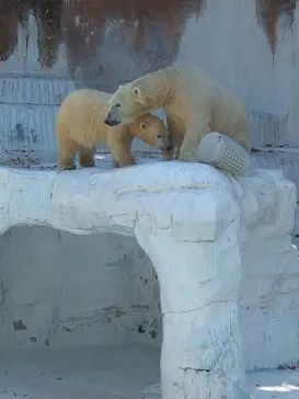 天王寺動物園に投稿された画像（2021/8/29）