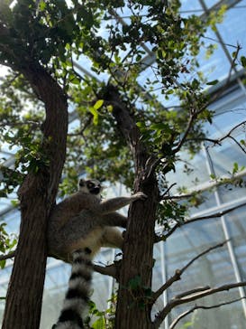 神戸どうぶつ王国に投稿された画像（2021/8/29）