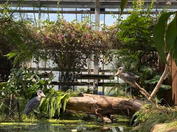 神戸どうぶつ王国に投稿された画像（2021/8/29）