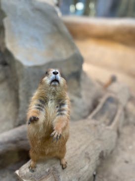 神戸どうぶつ王国に投稿された画像（2021/8/29）