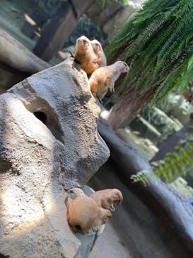 神戸どうぶつ王国に投稿された画像（2021/8/29）