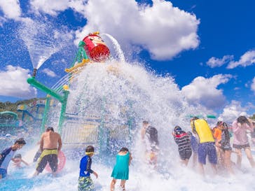 日本モンキーパークに投稿された画像（2021/8/29）