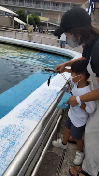 横浜・八景島シーパラダイスに投稿された画像（2021/8/29）