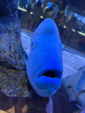 すみだ水族館に投稿された画像（2021/8/29）