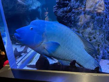 すみだ水族館に投稿された画像（2021/8/29）