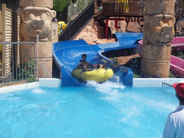 日本モンキーパークに投稿された画像（2021/8/29）