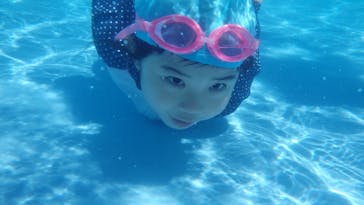 日本モンキーパークに投稿された画像（2021/8/29）