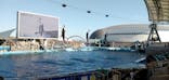 名古屋港水族館に投稿された画像（2021/8/29）