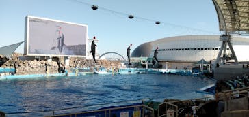 名古屋港水族館に投稿された画像（2021/8/29）