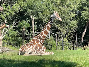 天王寺動物園に投稿された画像（2021/8/29）