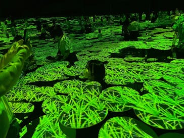 森ビル デジタルアート ミュージアム：エプソン チームラボボーダレスに投稿された画像（2021/8/29）