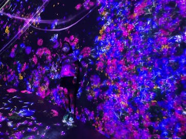 森ビル デジタルアート ミュージアム：エプソン チームラボボーダレスに投稿された画像（2021/8/29）
