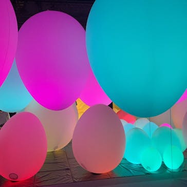 森ビル デジタルアート ミュージアム：エプソン チームラボボーダレスに投稿された画像（2021/8/29）