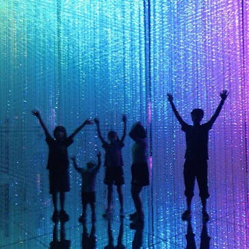 森ビル デジタルアート ミュージアム：エプソン チームラボボーダレスに投稿された画像（2021/8/29）