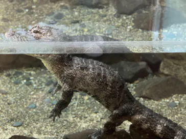 天王寺動物園に投稿された画像（2021/8/29）