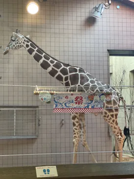 天王寺動物園に投稿された画像（2021/8/29）