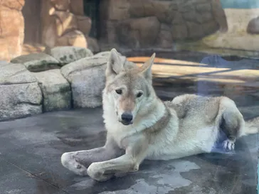 天王寺動物園に投稿された画像（2021/8/29）