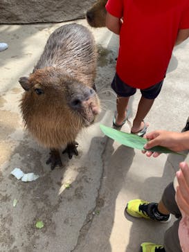 神戸どうぶつ王国に投稿された画像（2021/8/29）