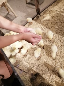 Moff animal world MARK IS みなとみらい店に投稿された画像（2021/8/29）