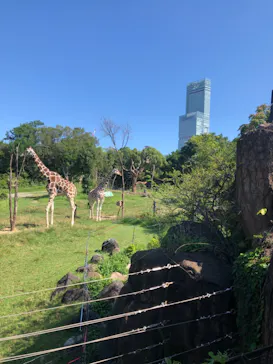 天王寺動物園に投稿された画像（2021/8/29）
