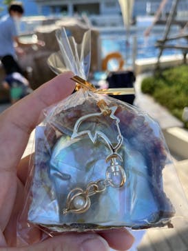 大分マリーンパレス水族館 「うみたまご」に投稿された画像（2021/8/29）