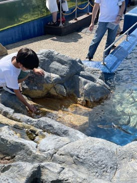 大分マリーンパレス水族館 「うみたまご」に投稿された画像（2021/8/29）