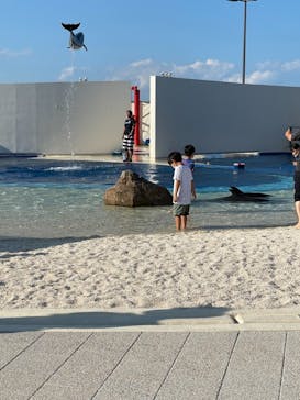 大分マリーンパレス水族館 「うみたまご」に投稿された画像（2021/8/29）